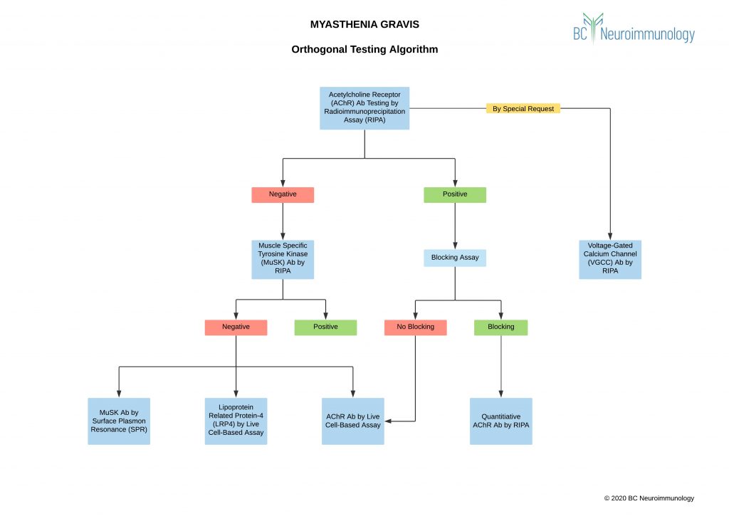 Myasthenia Gravis - BC Neuroimmunology